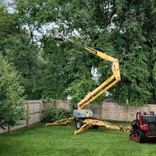 Best Tree and Shrub Care  in Verona, VA