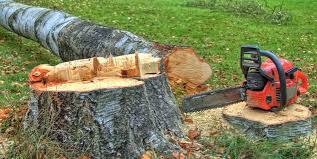 Best Tree Removal  in Verona, VA