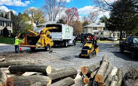 Best Commercial Tree Services  in Verona, VA