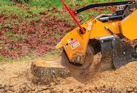 Best Tree Risk Assessment  in Verona, VA